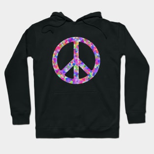 World Peace Sign Vibrant Art Graffiti Activist Hoodie